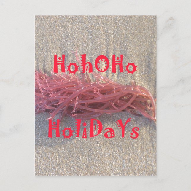 Santa HoHoHo Merry Christmas From Beach colours Holiday Postcard (Front)