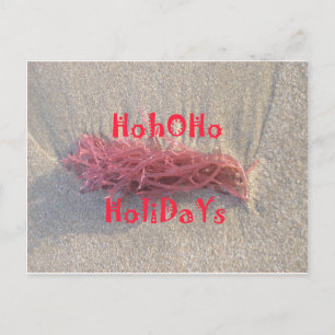 Santa HoHoHo Merry Christmas From Beach colours Holiday Postcard