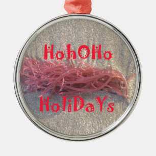 Santa HoHoHo Merry Christmas From Beach colours Metal Ornament