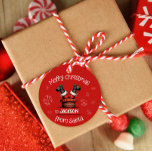 Santa in Chimney Christmas gift hang tag<br><div class="desc">This design is a circle christmas hang tag for gifts. Fully customizable.. You may change the names or leave them blank so that you can write them in yourself later. If you would like to change anything that you cannot change feel free to write me.</div>