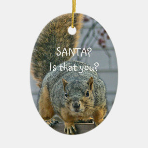 "SANTA, IS THAT YOU?"  WIDE- EYED SQUIRREL ORNAMEN CERAMIC ORNAMENT