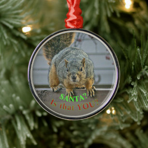 "SANTA, IS THAT YOU?"  WIDE- EYED SQUIRREL ORNAMEN METAL ORNAMENT