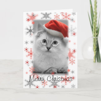 santa kitty christmas card