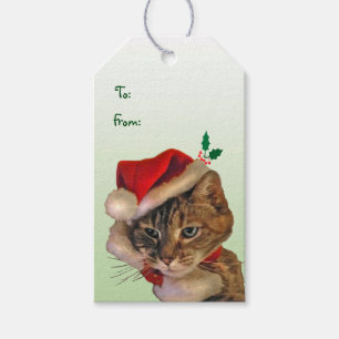 Santa Kitty Pack of Gift Tags