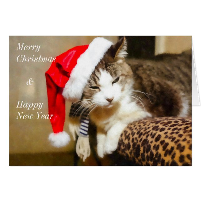 Santa Kitty Painterly (Front Horizontal)