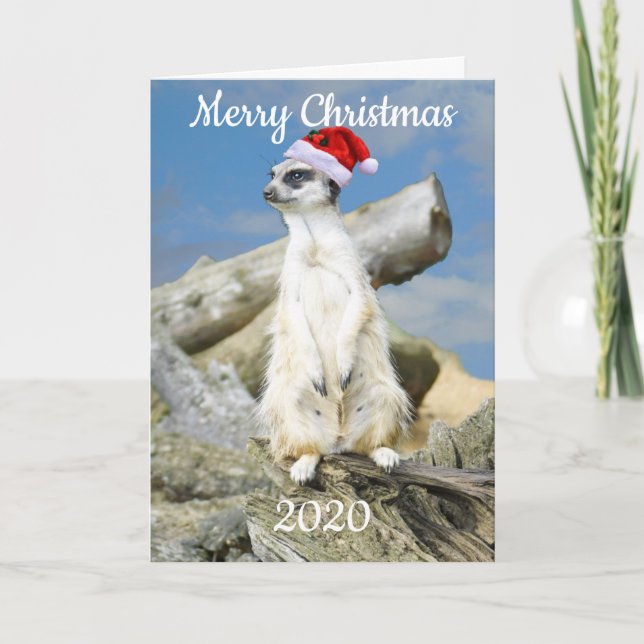 Santa Meerkat Christmas Card (Front)