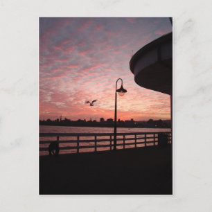 Santa Monica Pink Postcard