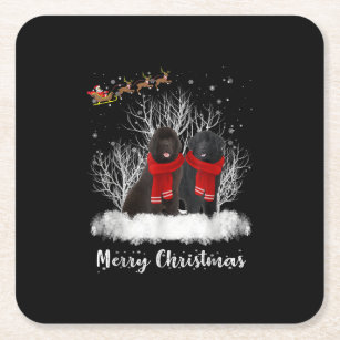 Santa Newfoundland Couple Merry Christmas Dog Gift Square Paper Coaster
