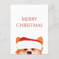  Santa Orange Corgi Merry Christmas 