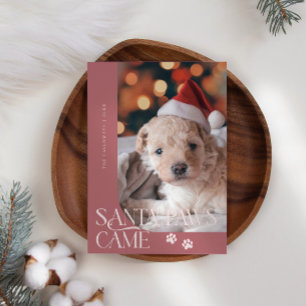 Santa Paws Came Dog Photo Pink Christmas Holiday Card