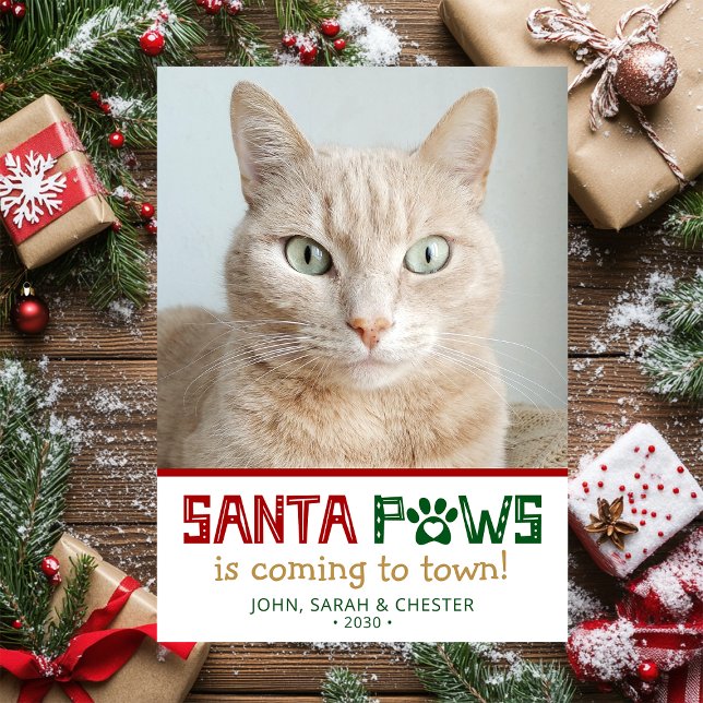 Santa Paws Cat Photo Holiday Card (Creator Uploaded)