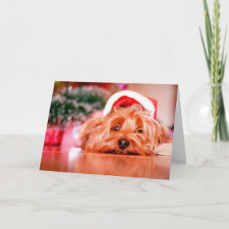 Santa Paws Christmas Card