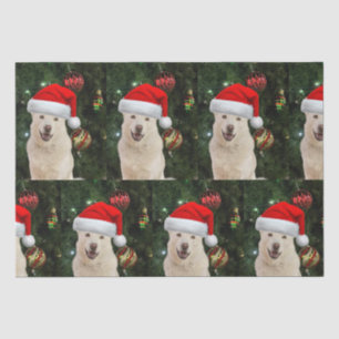 Santa Paws - Crystal the Husky Dog Christmas Tissue Paper
