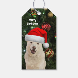 Santa Paws - Crystal the Husky Dog Personalized Gift Tags