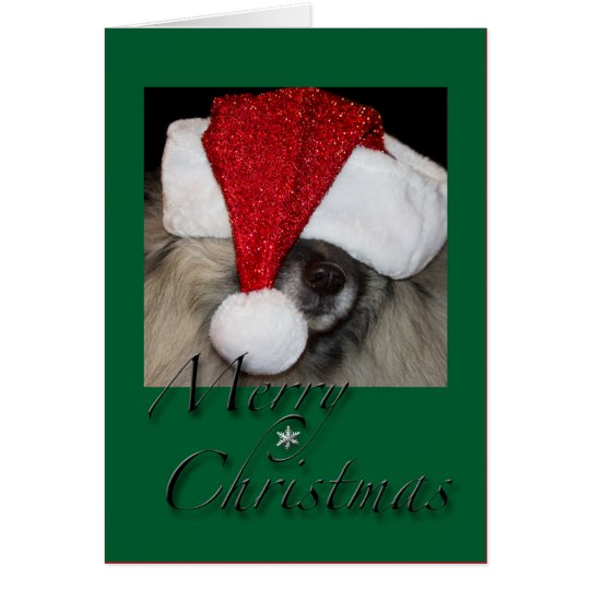 Santa Paws greeting card