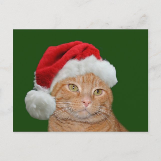 Santa Paws Holiday Postcard (Front)