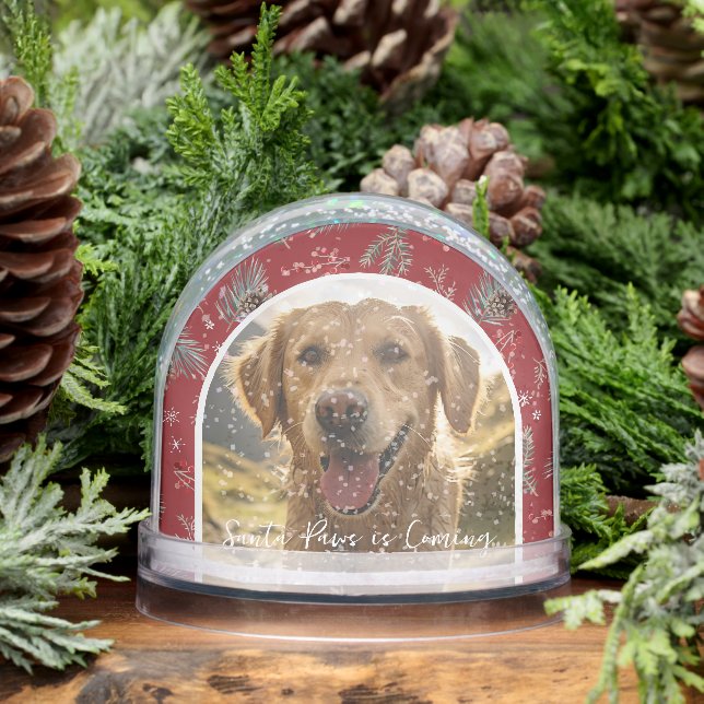 Santa Paws is Coming | Custom Pet Photo Holiday Snowglobe (Winter)