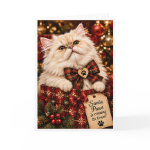 Santa Paws Is Coming to Town Personalized Persian