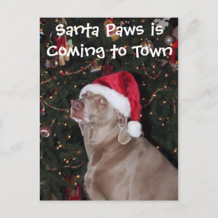 Santa Paws Postcard