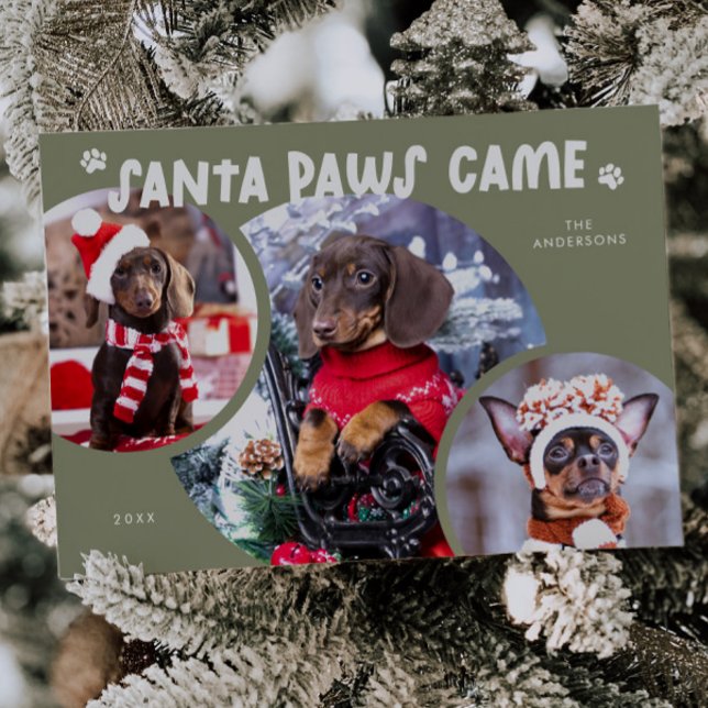Santa Paws Sage Green Dog Photo Holiday Card (Creator Uploaded)