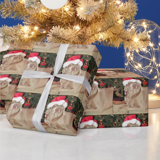 Santa Paws - Weimaraner Dog Christmas Wrapping Paper (Holidays)