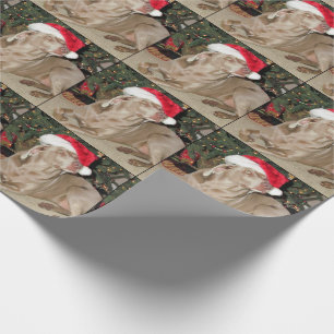 Santa Paws - Weimaraner Style - (1079) Wrapping Paper