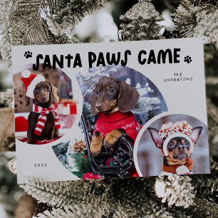 Santa Paws White Dog Photo Holiday Card
