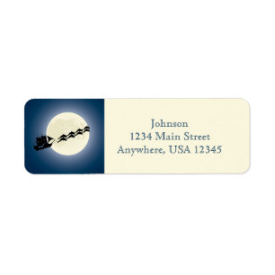 Santa Pirate Ship w/ Dolphins Christmas Holiday