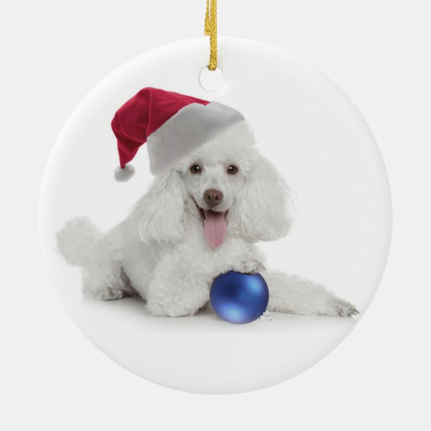 Toy Poodle Round Ceramic Ornaments & Christmas Ornaments Zazzle CA