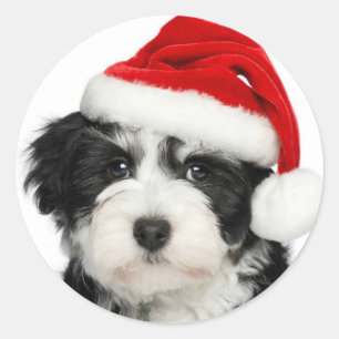 Santa Puppy Round Sticker