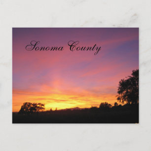 Santa Rosa Sunset Postcard