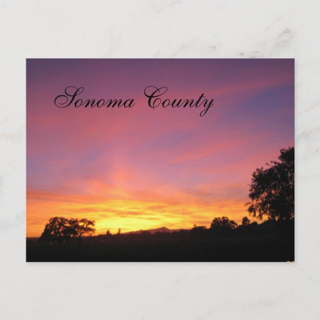 Santa Rosa Sunset Postcard (Front)