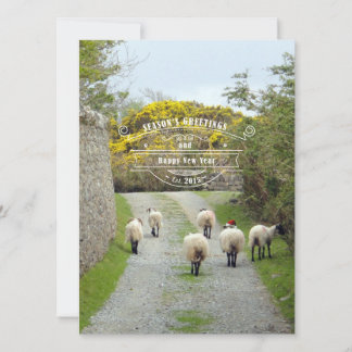 Santa Sheep Holiday Card