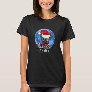 Santa Sphynx Cat Merry Christmas Is Coming Xmas T-Shirt