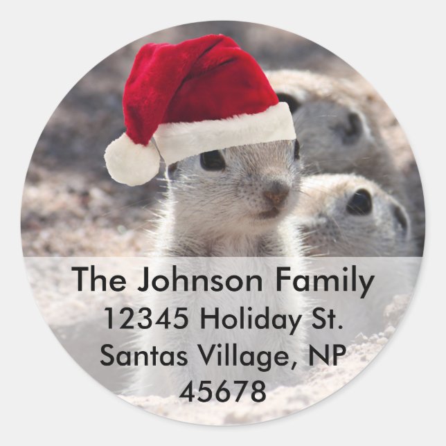 Santa Squirrel Address Labels (Front)
