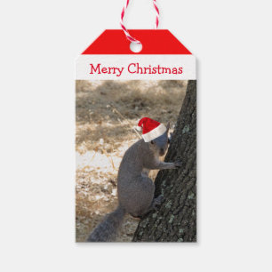 Santa Squirrel Christmas Gift Tag