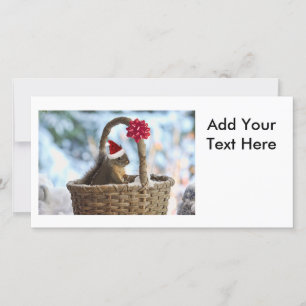 Santa Squirrel in Snow Holiday Card