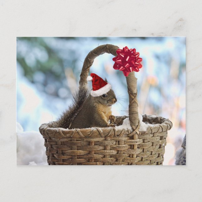 Santa Squirrel in Snow Holiday Postcard (Front)