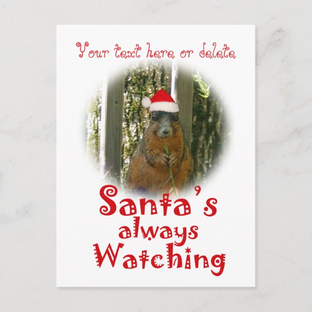 Santa Squirrel is always watching Holiday Postcard (Front)
