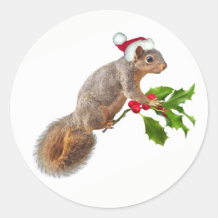 Santa Squirrel with Holly Christmas Stickers