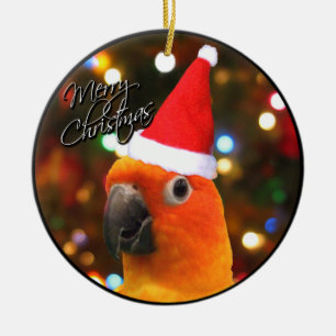 Santa Sun Conure Christmas Ornament