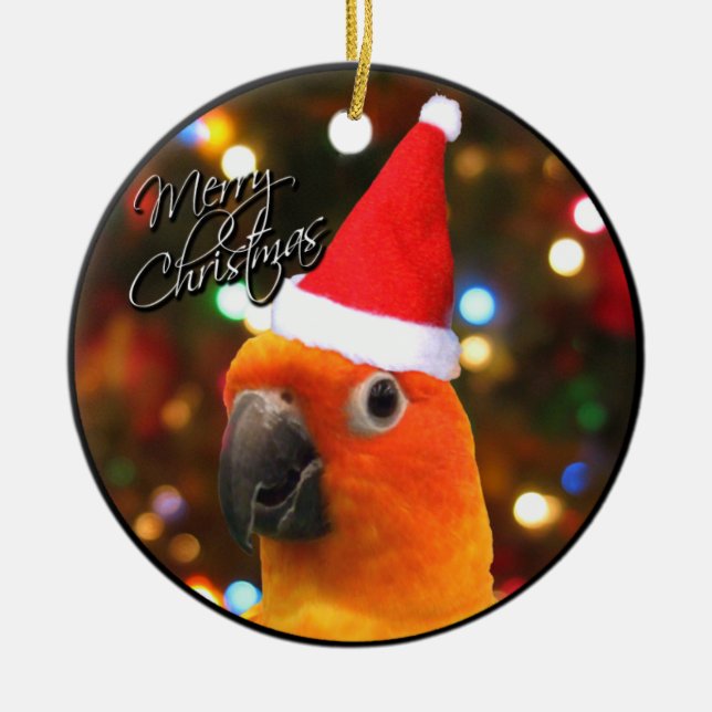Santa Sun Conure Christmas Ornament (Front)