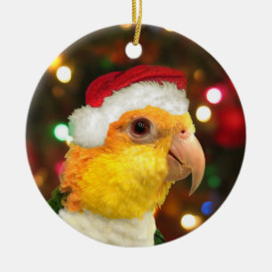 Santa White Bellied Caique Christmas Ornament