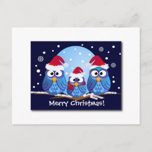 SANTA'S CUTE CHRISTMAS OWLS HOLIDAY POSTCARD