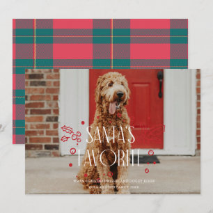 Santa's Favourite Silly Pet Photo Holiday Card