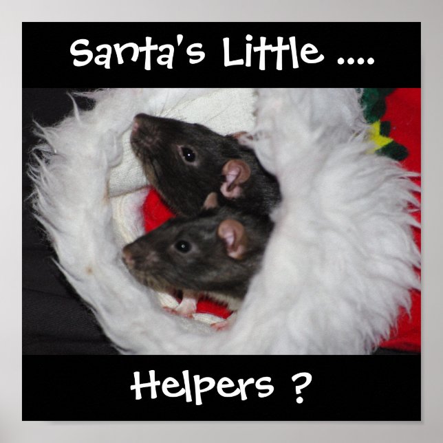 Santa's Helpers? Poster (Front)