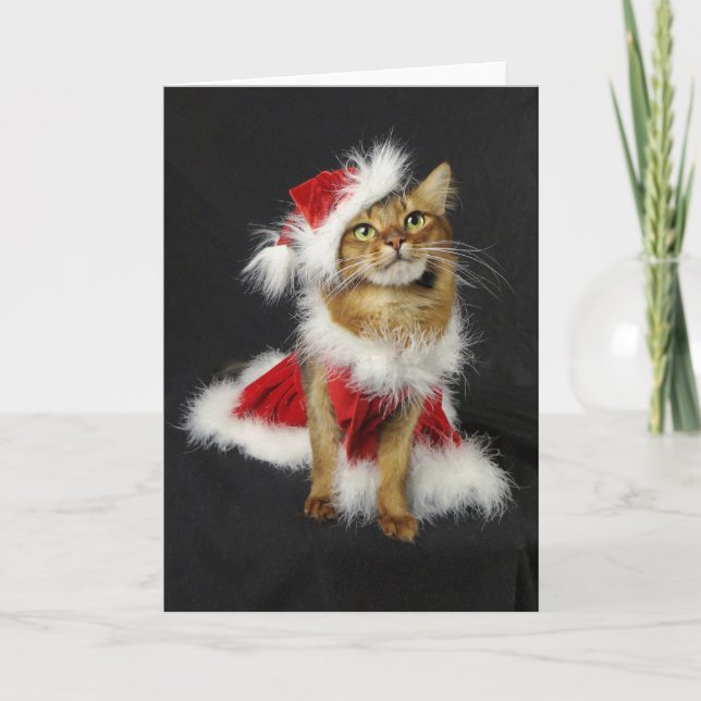 Santa's Little Helper Somali Cat Christmas Holiday Card (Front)