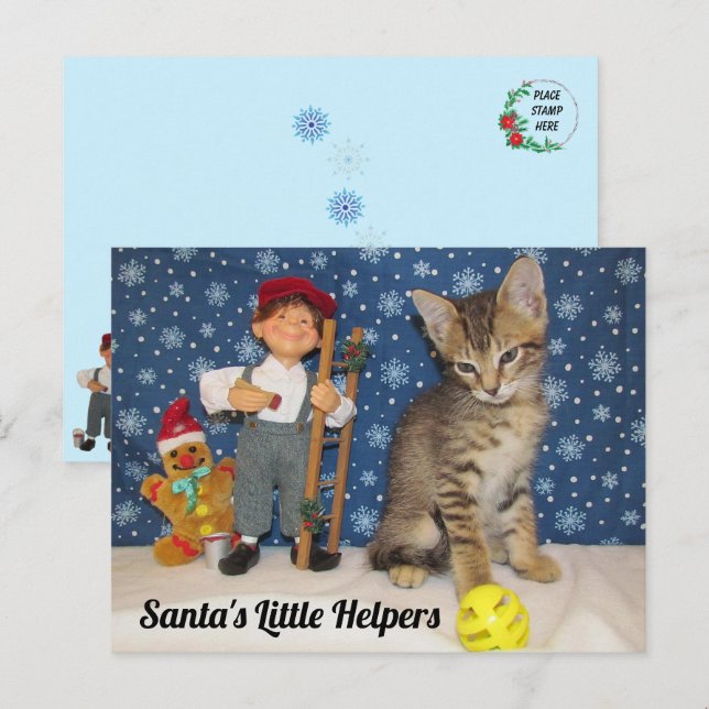 Santa's Little Helpers - Cat & Elf Postcard (Front/Back)