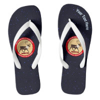 Santa's Own - 1st Polar Airlift Squadron