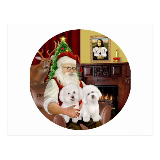 Santa's Two Bichon Frise Postcard